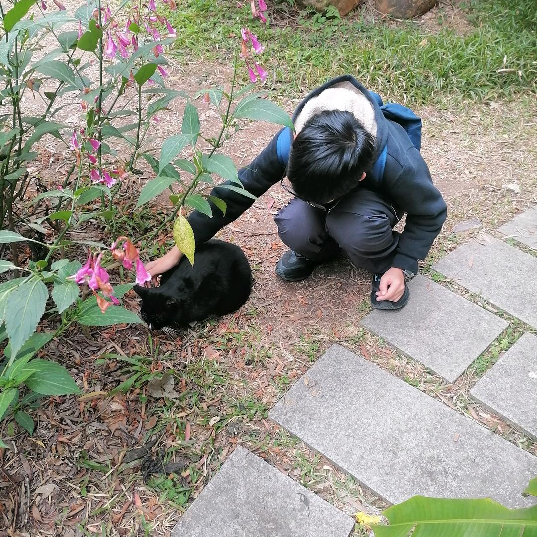 丁丁好物
