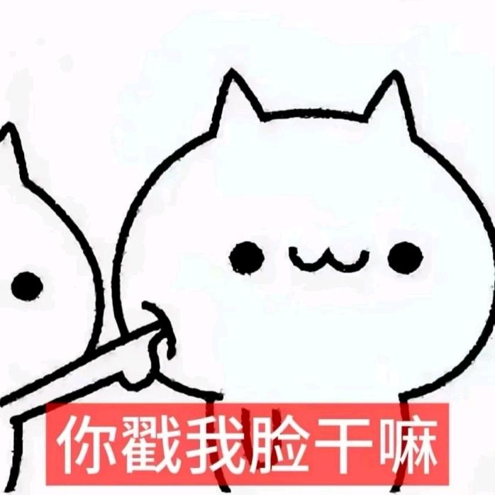 我爱一个浙江人