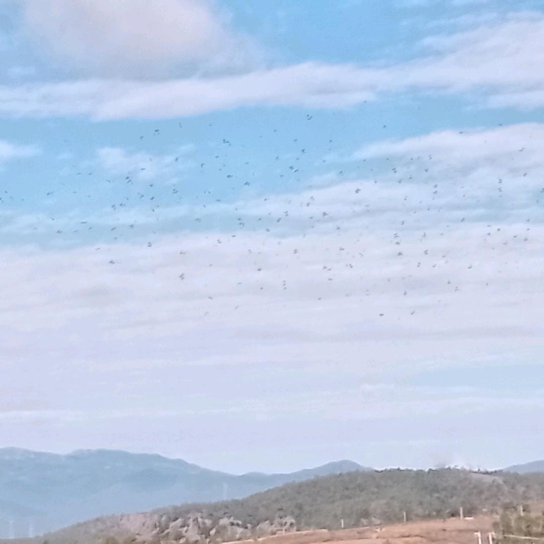 SHEN JUN CHAO🇨🇳