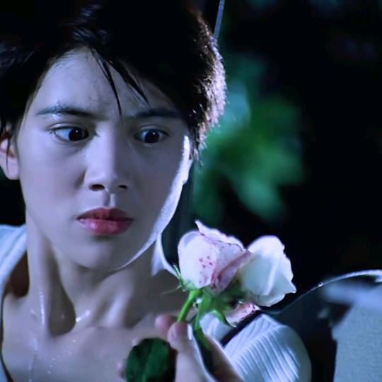 油茶麻花儿