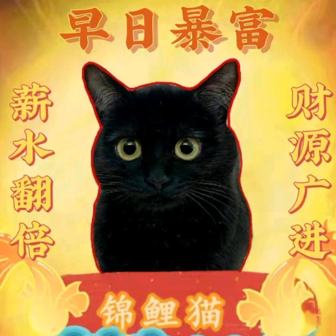 银梦铃（不要连赞！）