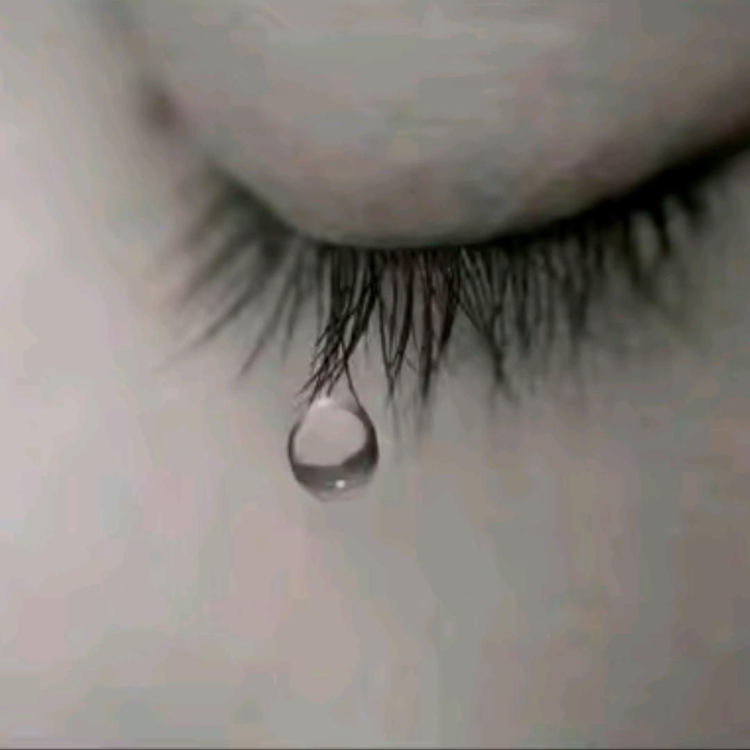 孤狼