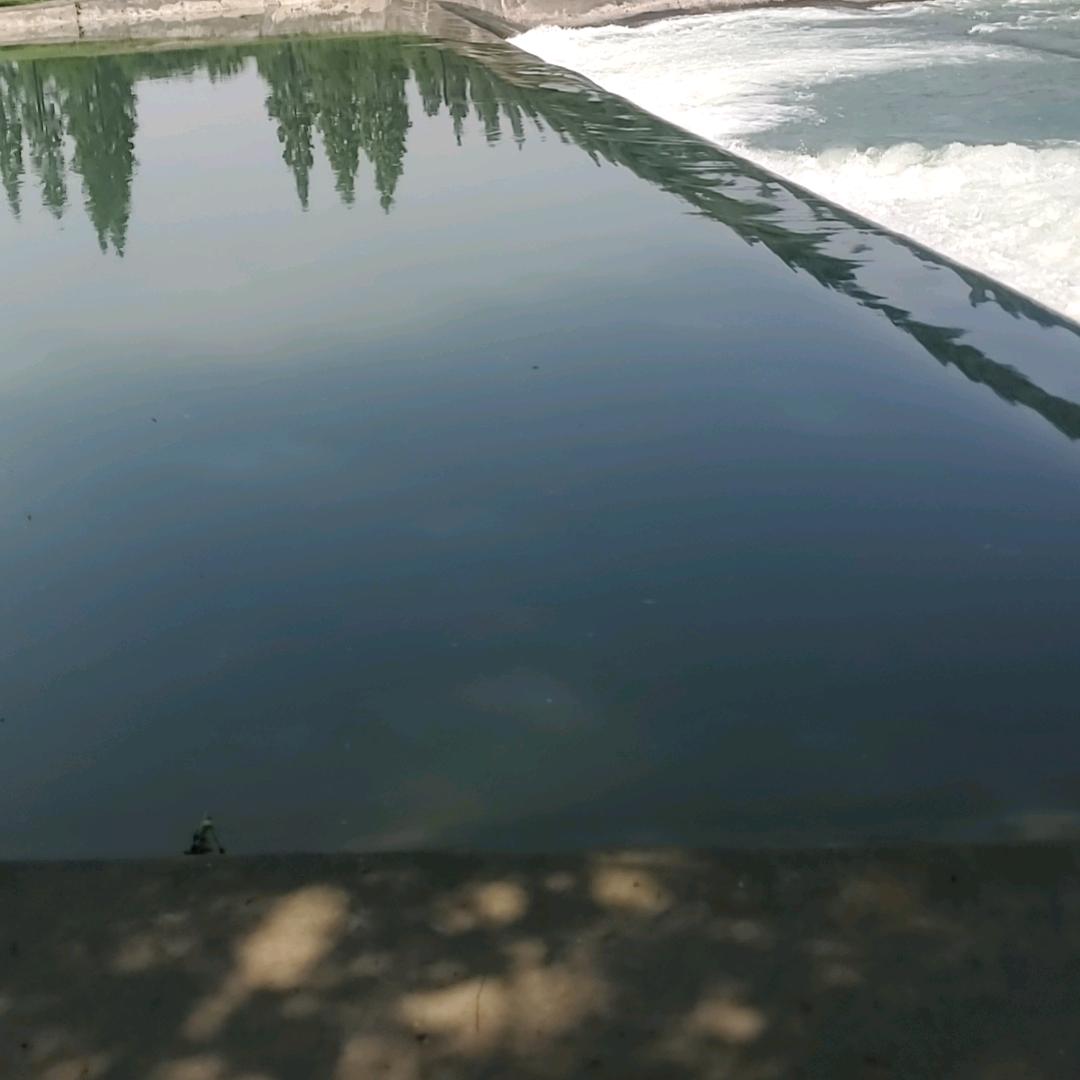 11.5