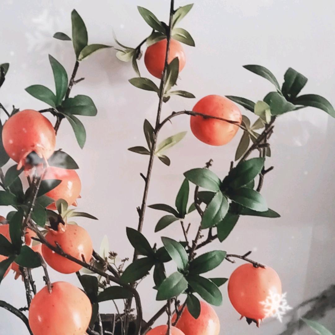 @余生🍎🍊安好🍓🍒
