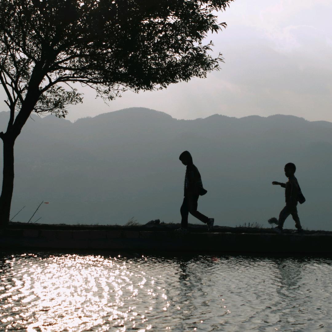 哈尼梯田航拍直播号ss