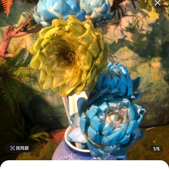 愤怒的葡萄