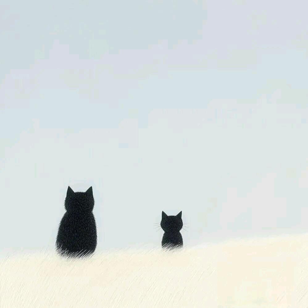 随心