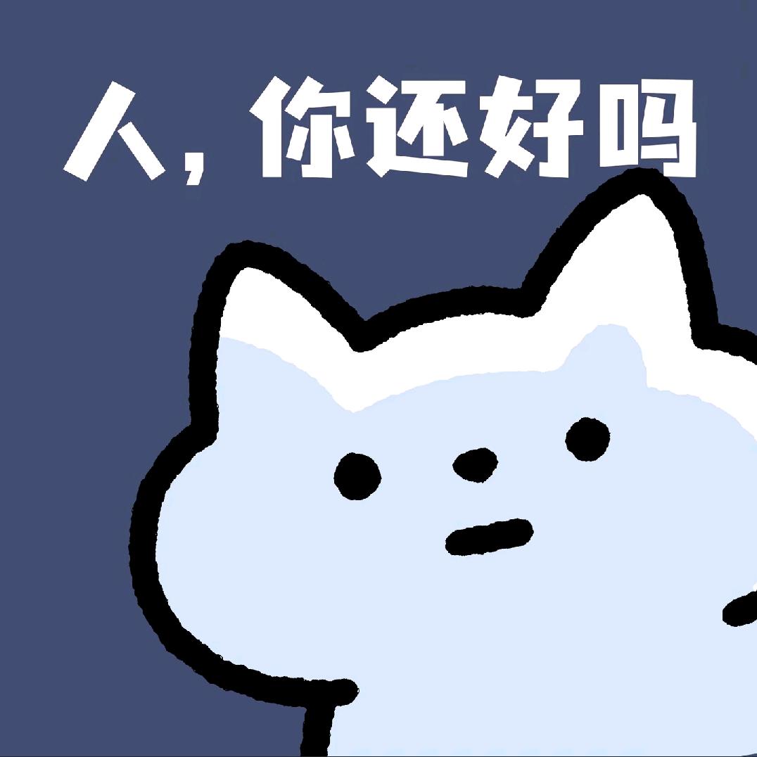 小猫砖家