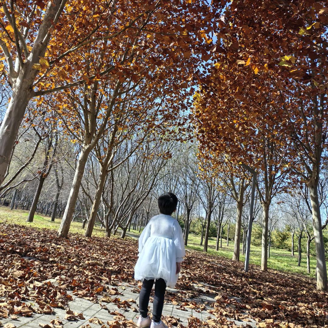 大彬姐🧘‍♀️