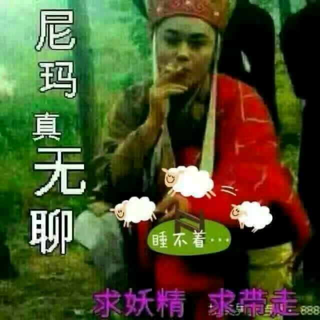 猪猪🐷🐷🐷🐷