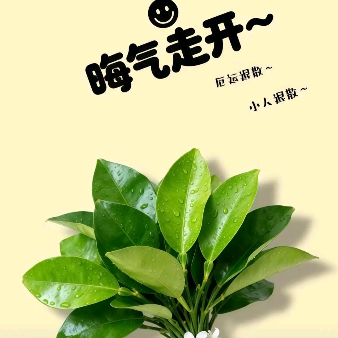 以美好换取美好