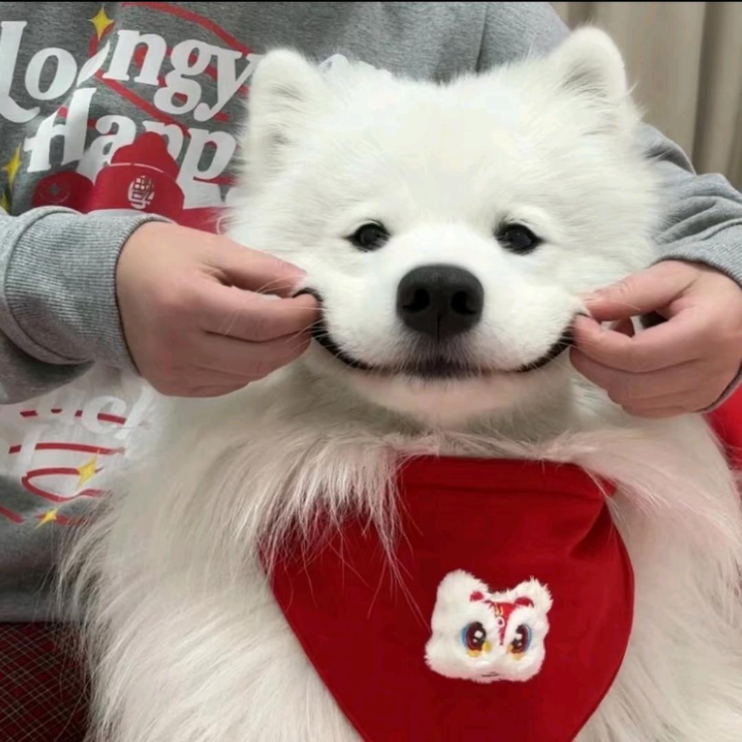 日落晚风吹头像