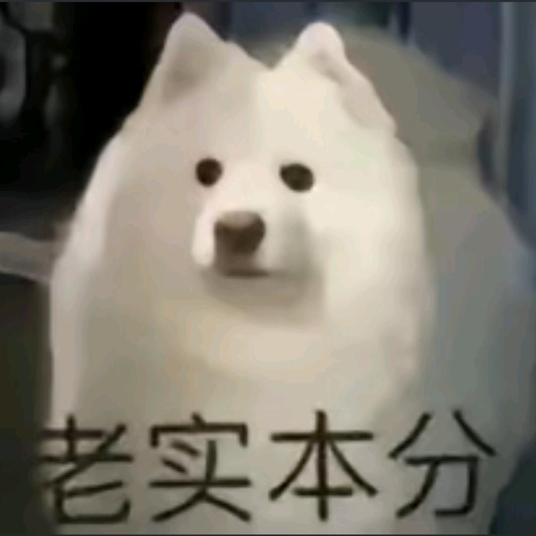 网恋女友有格调