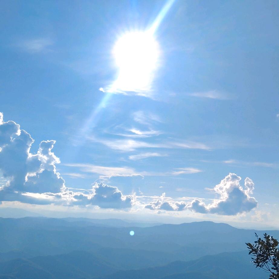 最凉薄的也是人心