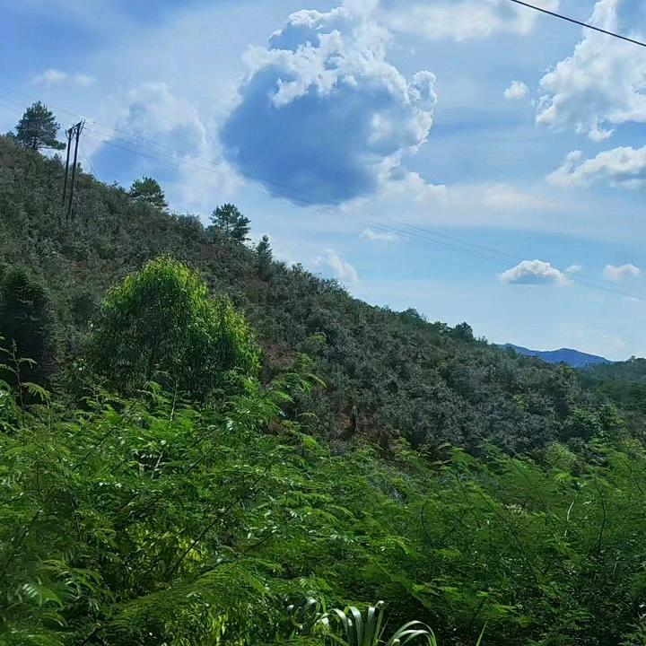 岁月无声，