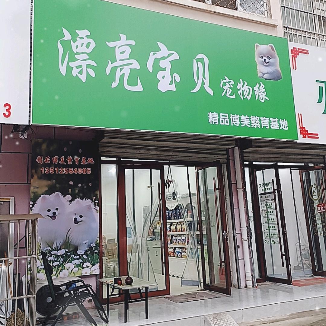 徐州贾汪，漂亮宝贝宠物缘（博美繁育）孙哥