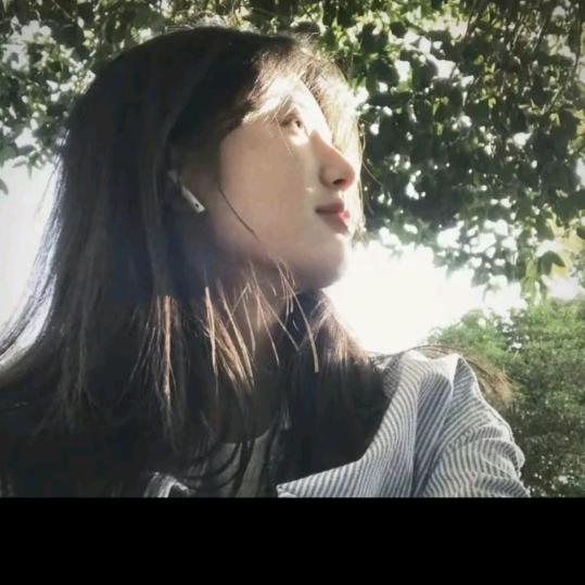 Kitty念