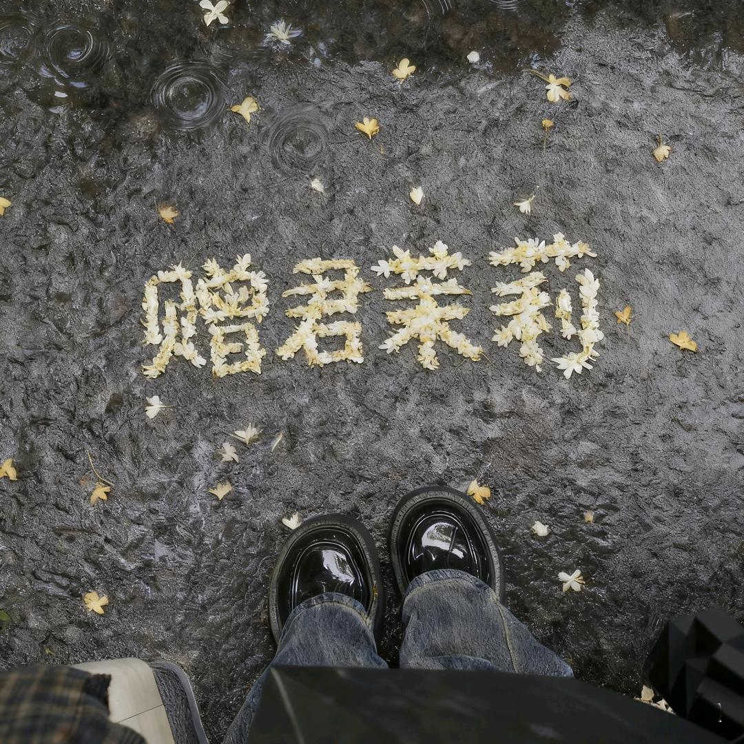 茉莉雨yu