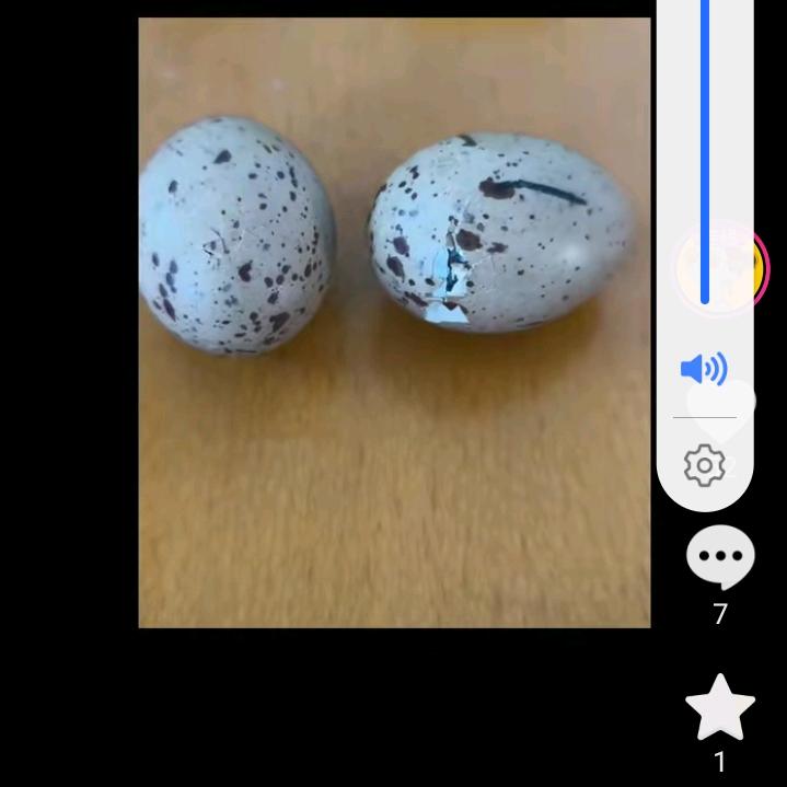 晓黑蛋
