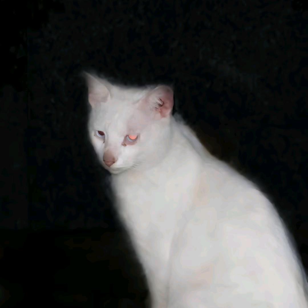 🅳.JUN