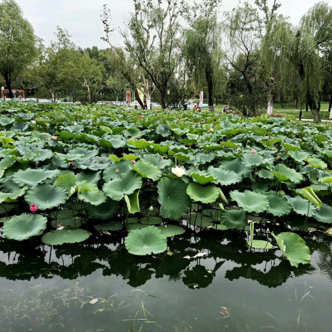 每好一天