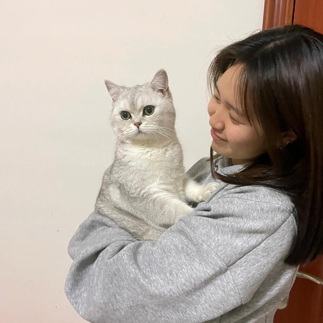 皓哇塞