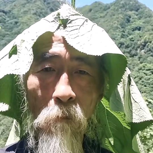 AA土鸡蛋批发