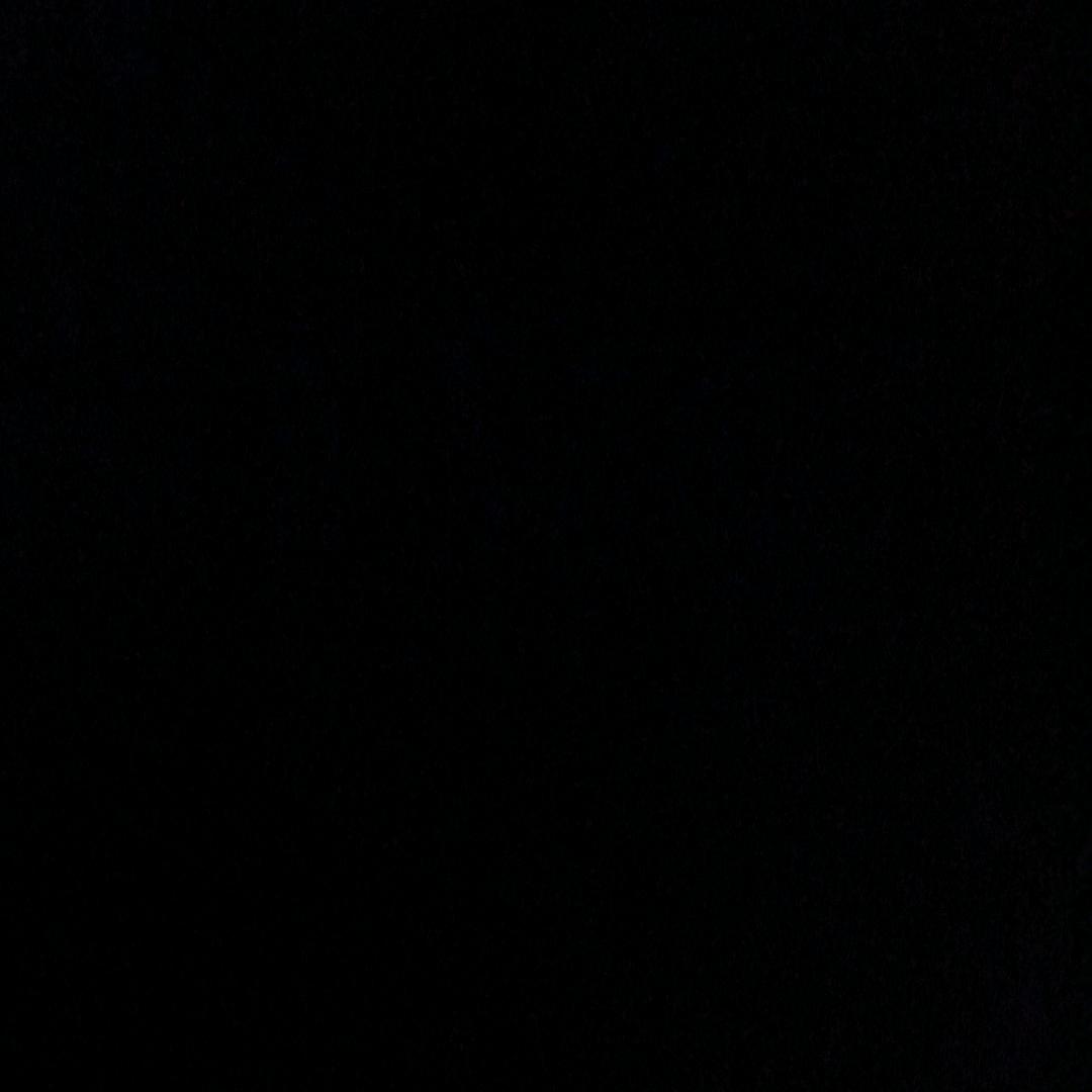 迟忆秋.