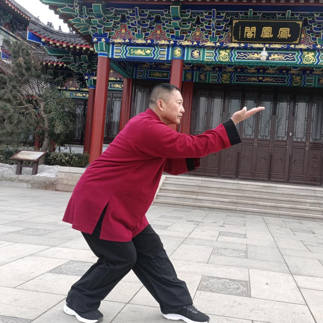 祁氏通背拳开门八极拳