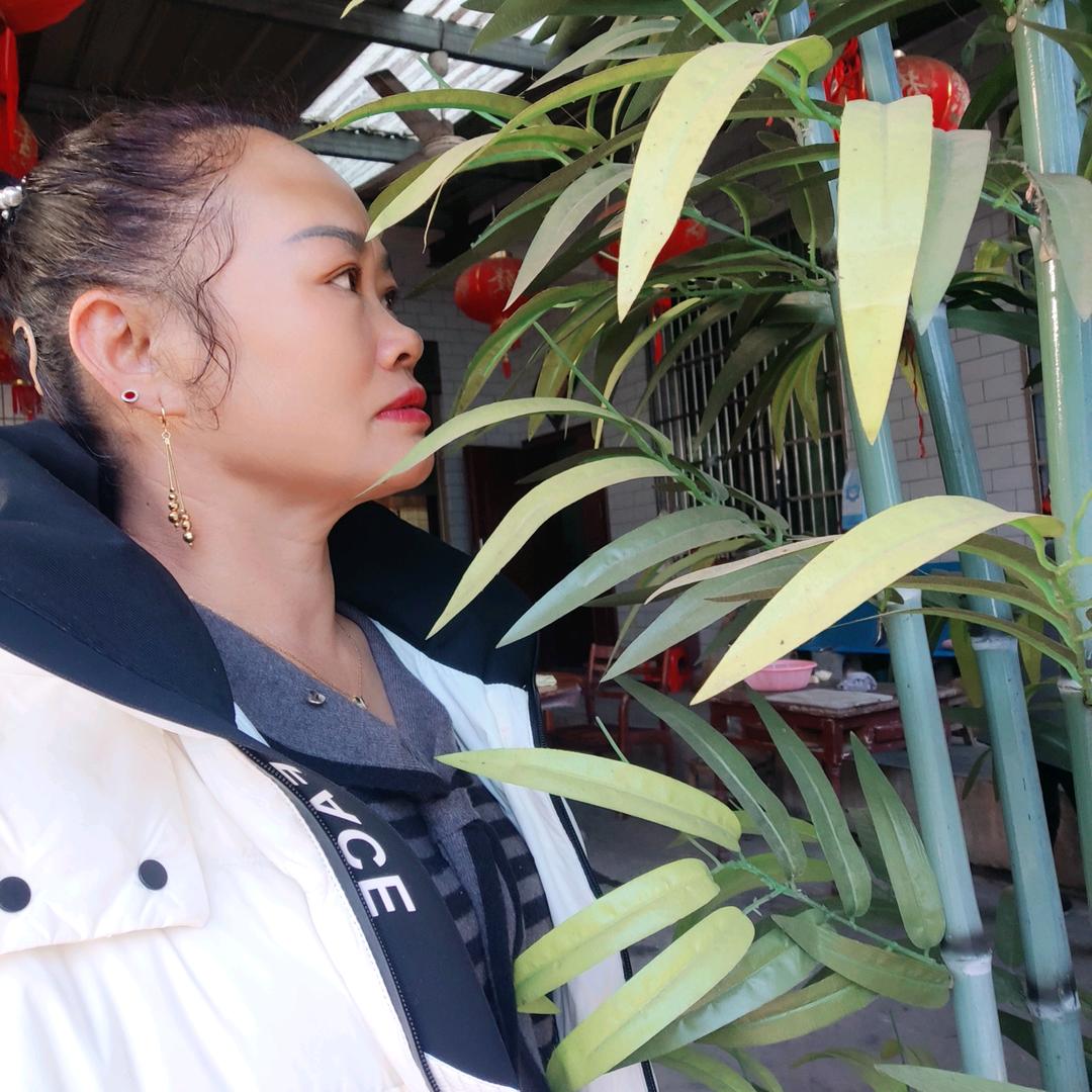 诚信相待(南阳)