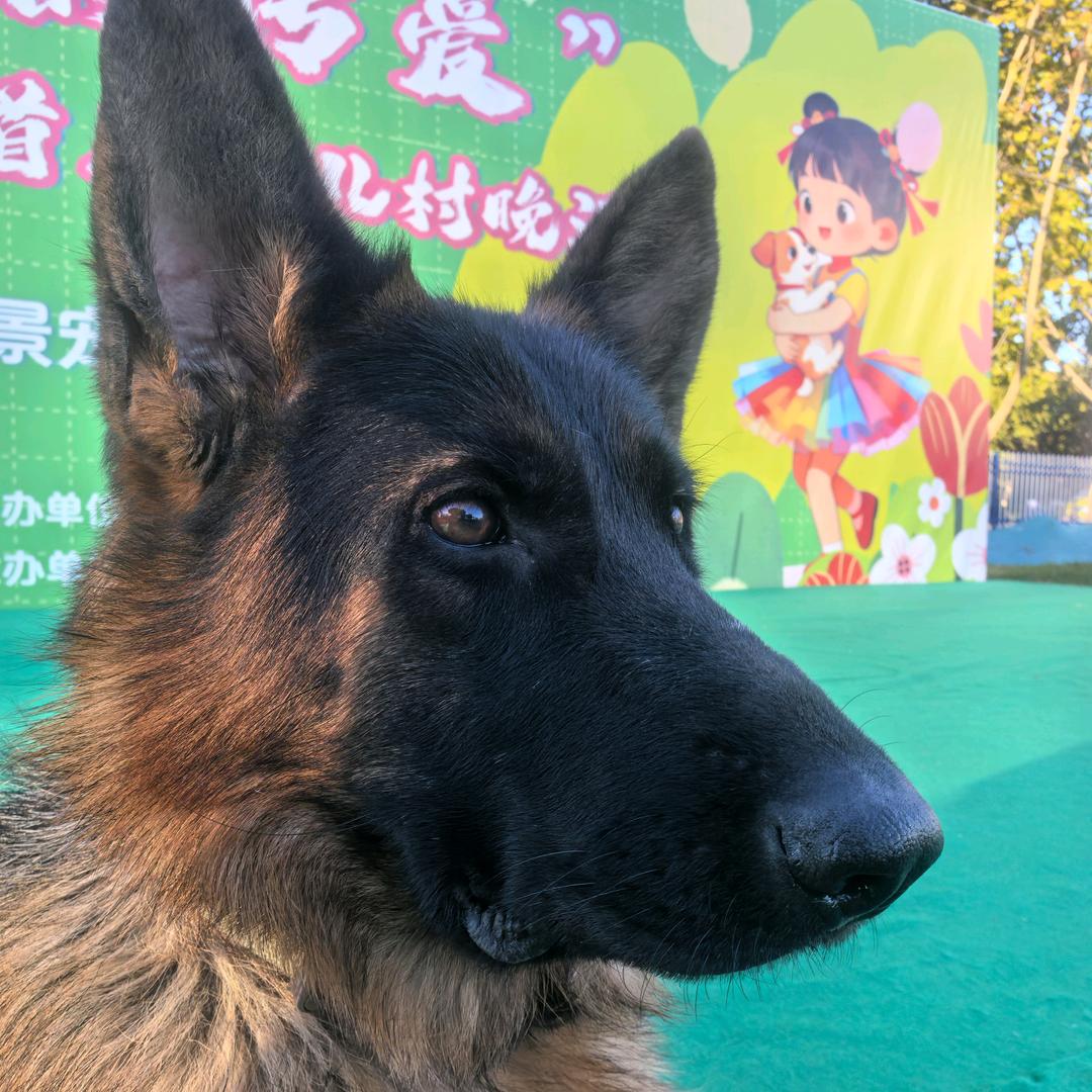 🌈ᯤ⁵ᴳ路虎小卫士