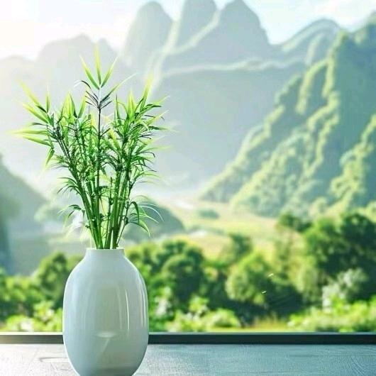 昆明网络优选