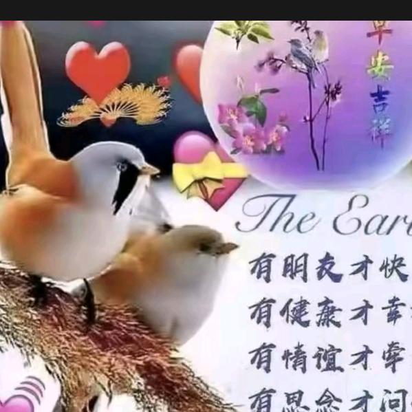 导航人生