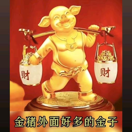 哒晓琪