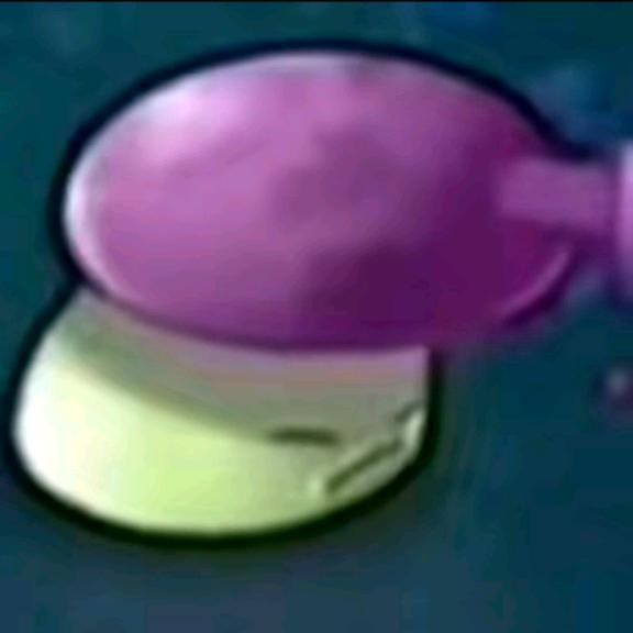 🟣🟣🟣🟣🟣🟣