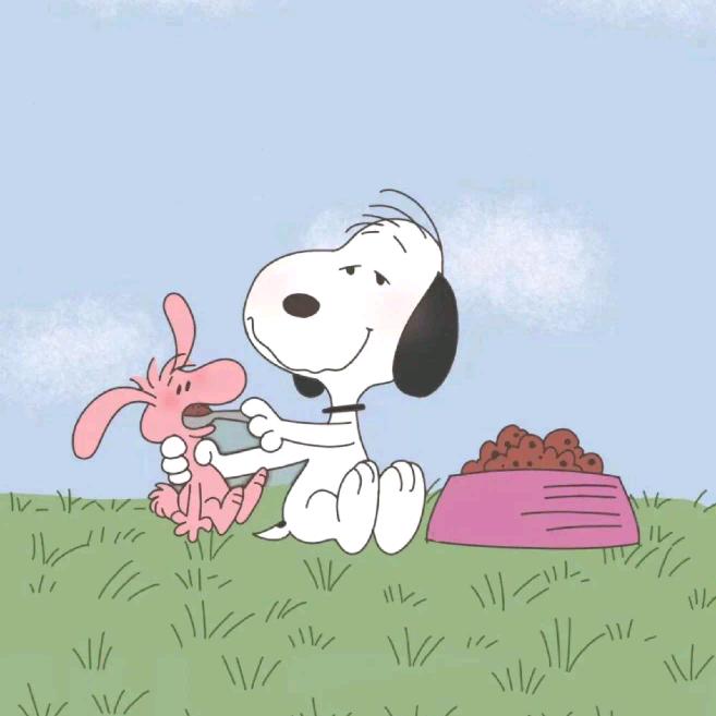 史努比大王👑来也