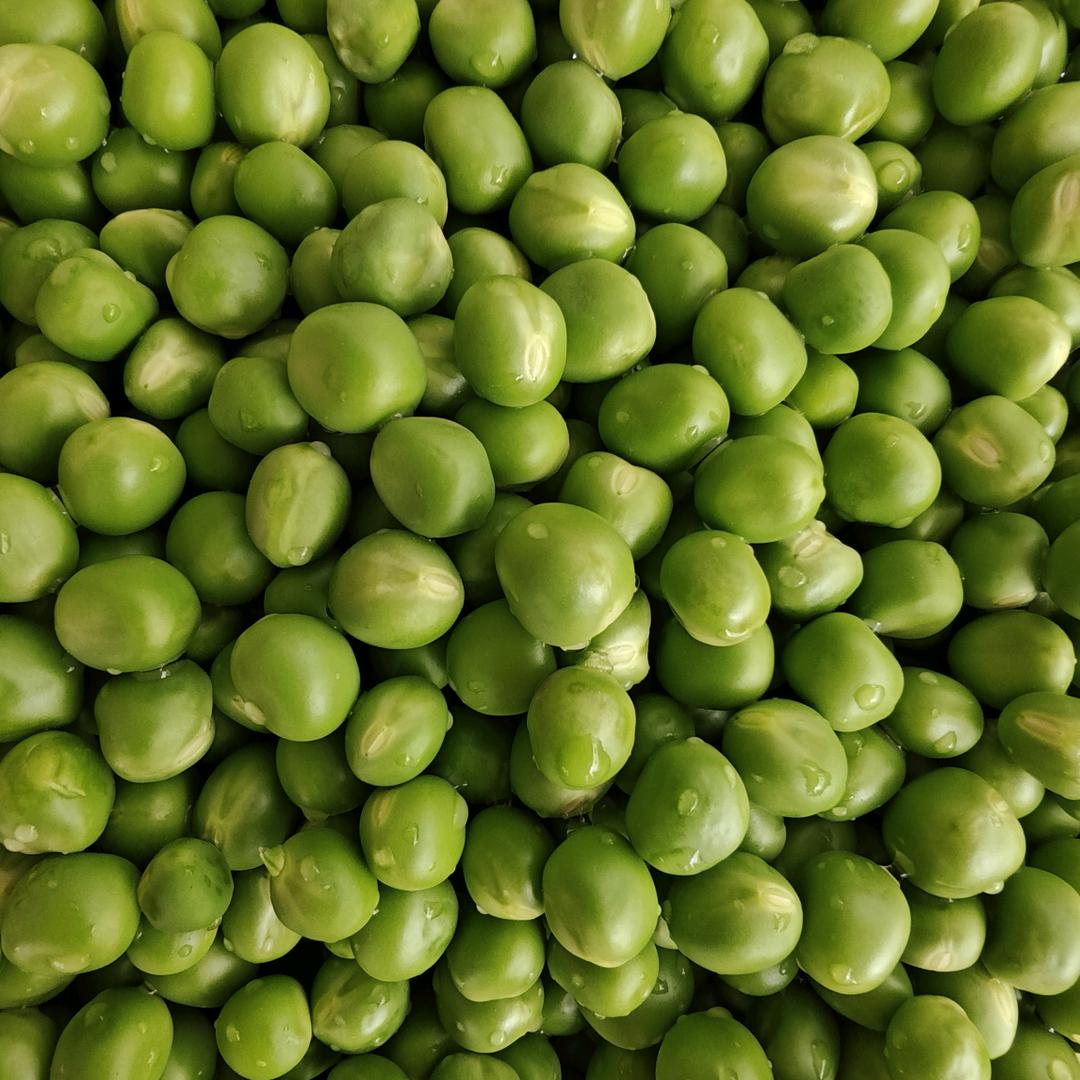一颗豌豆