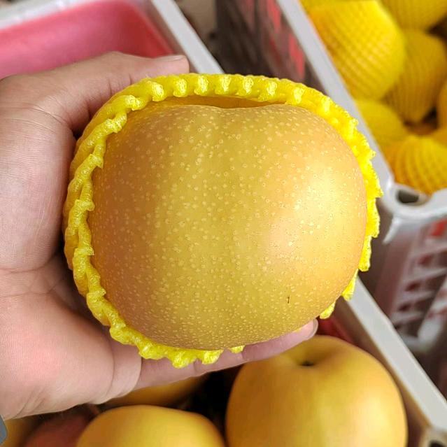 丰达佛心缘