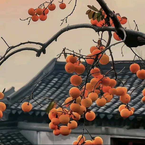 夏（心灵之约）