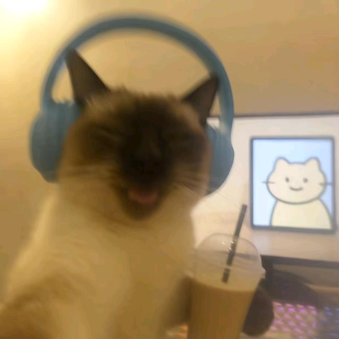 嘚儿迪