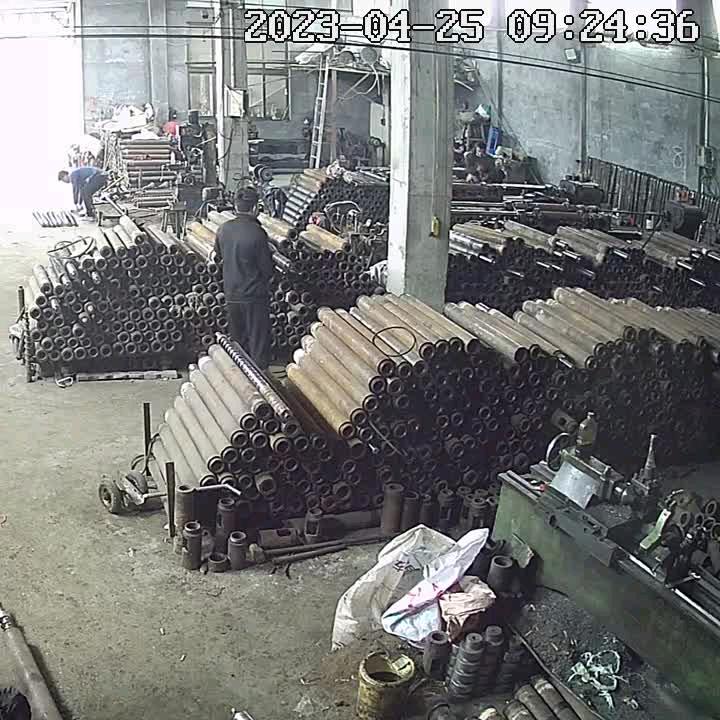 一棵小枣树