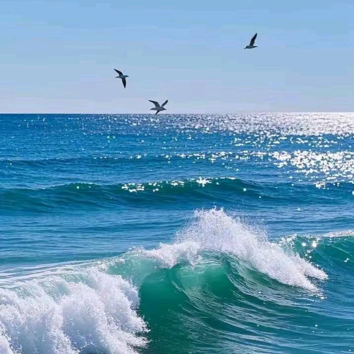 大 海