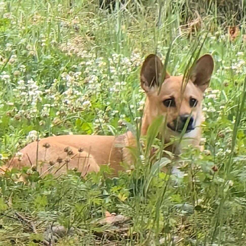 💞ꦿ꯭孫风顺水🥀꧔ꦿ᭄