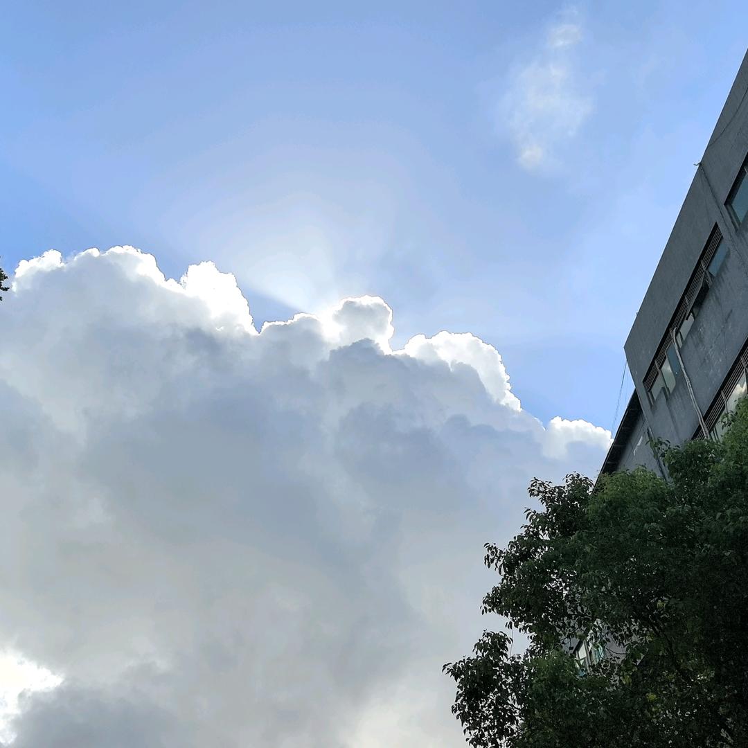 小恶心（新人直播）