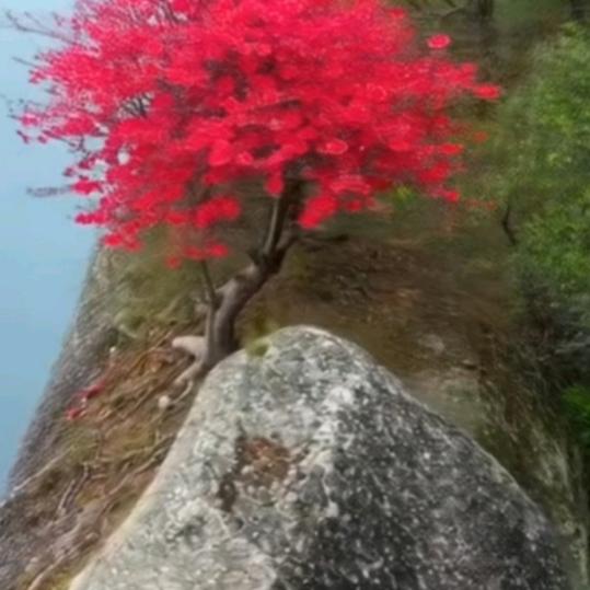 老钏幸福
