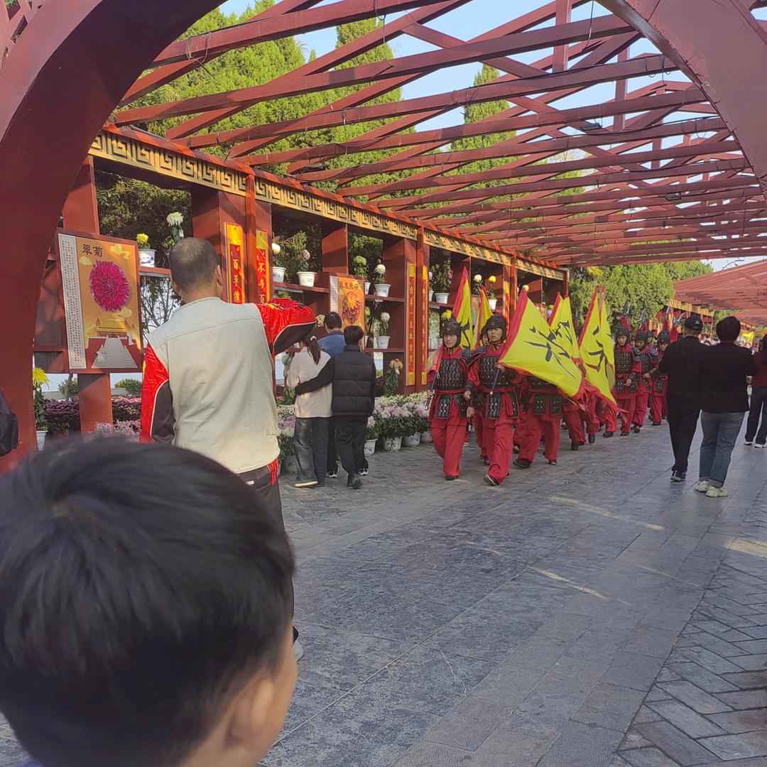 摆烂🙃