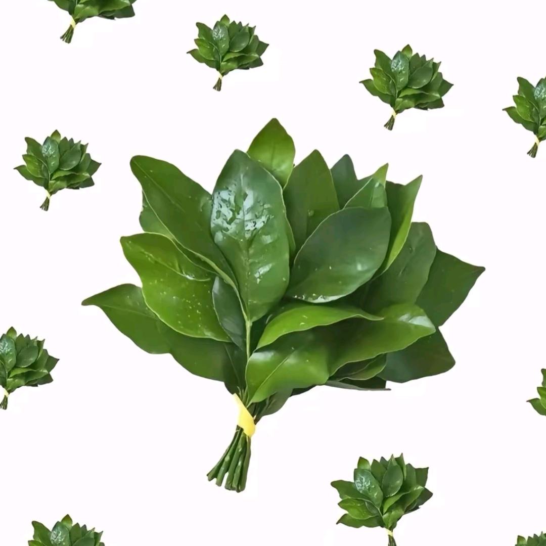 小魚小鱼