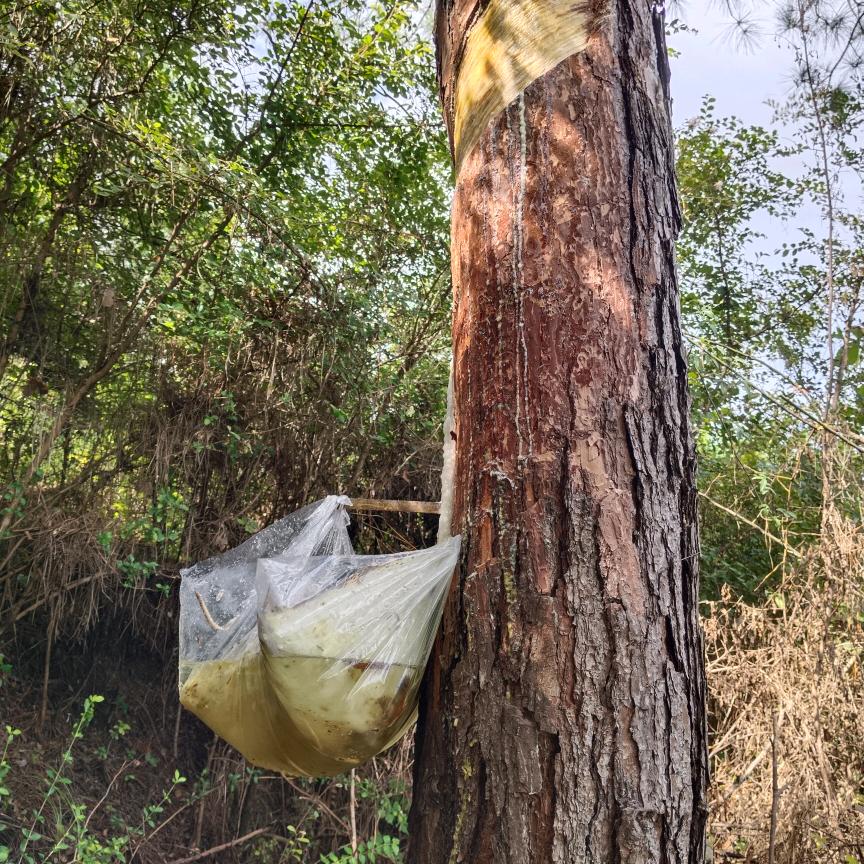 ，前程似锦。全国名字，，有的人太较真