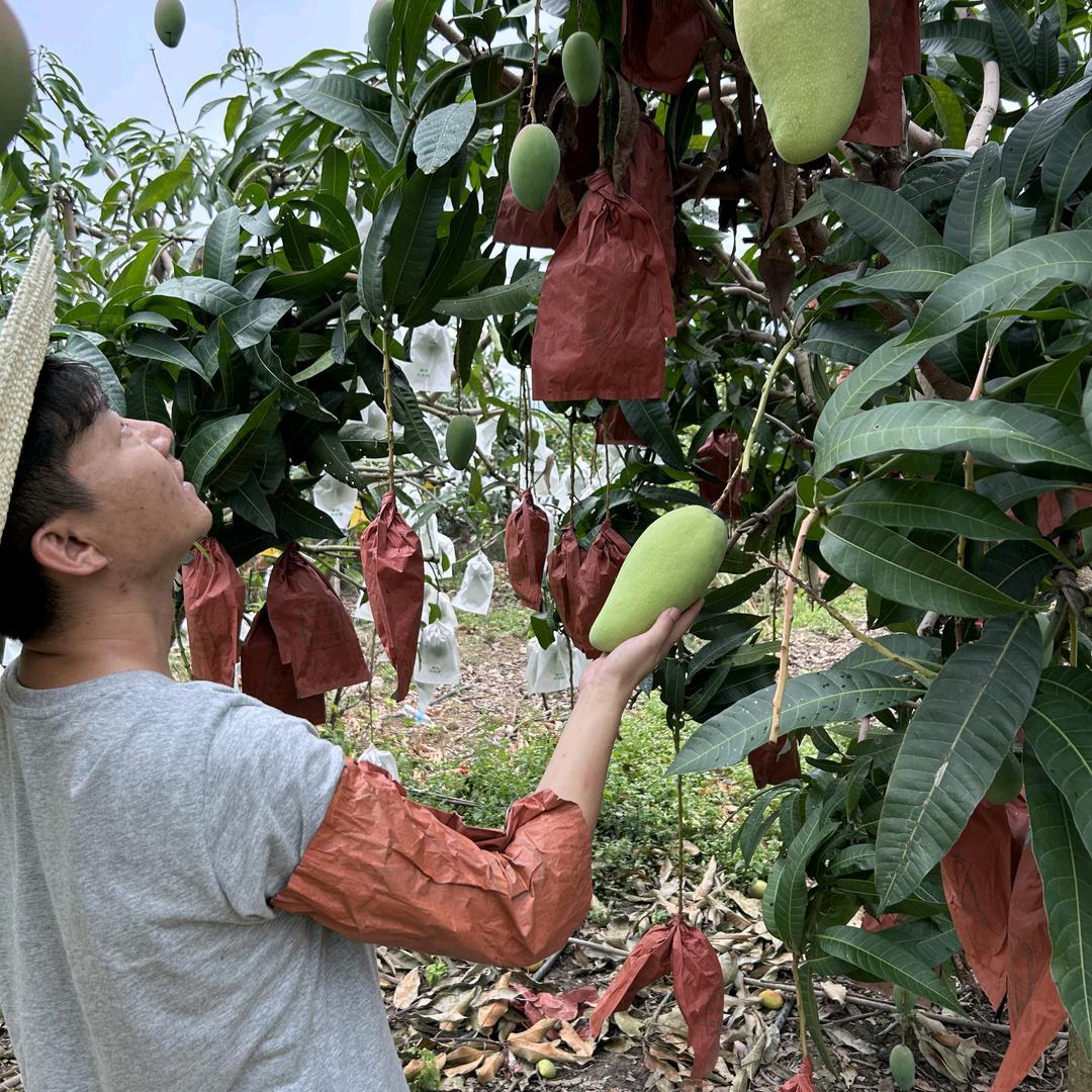 云南潞江坝小利果蔬店