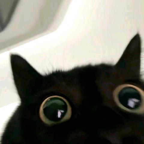 轨迹